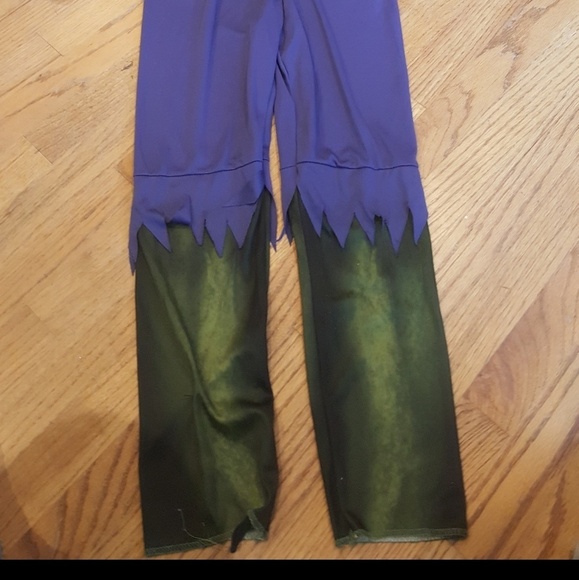 Incredible Hulk Costume - Picture 7 of 8